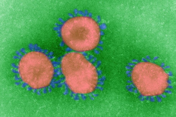 Đi tìm lời giải cho độc tính của virus corona: Khi nào chúng gây chết người, khi nào chỉ gây cúm? - Ảnh 1.