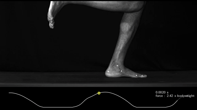 Hóa ra 100 năm khoa học đã nhầm: Chỗ lõm trên bàn chân không giúp con người đứng thẳng, mà là vòm xương ngang - Ảnh 3.