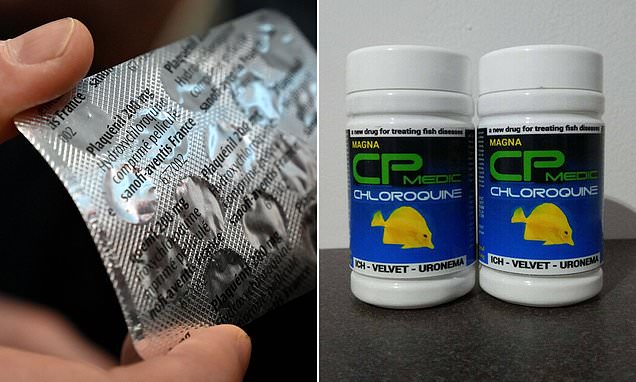 Một người đàn ông Mỹ tử vong khi uống chloroquine, vì nghĩ nó phòng được virus corona - Ảnh 1.