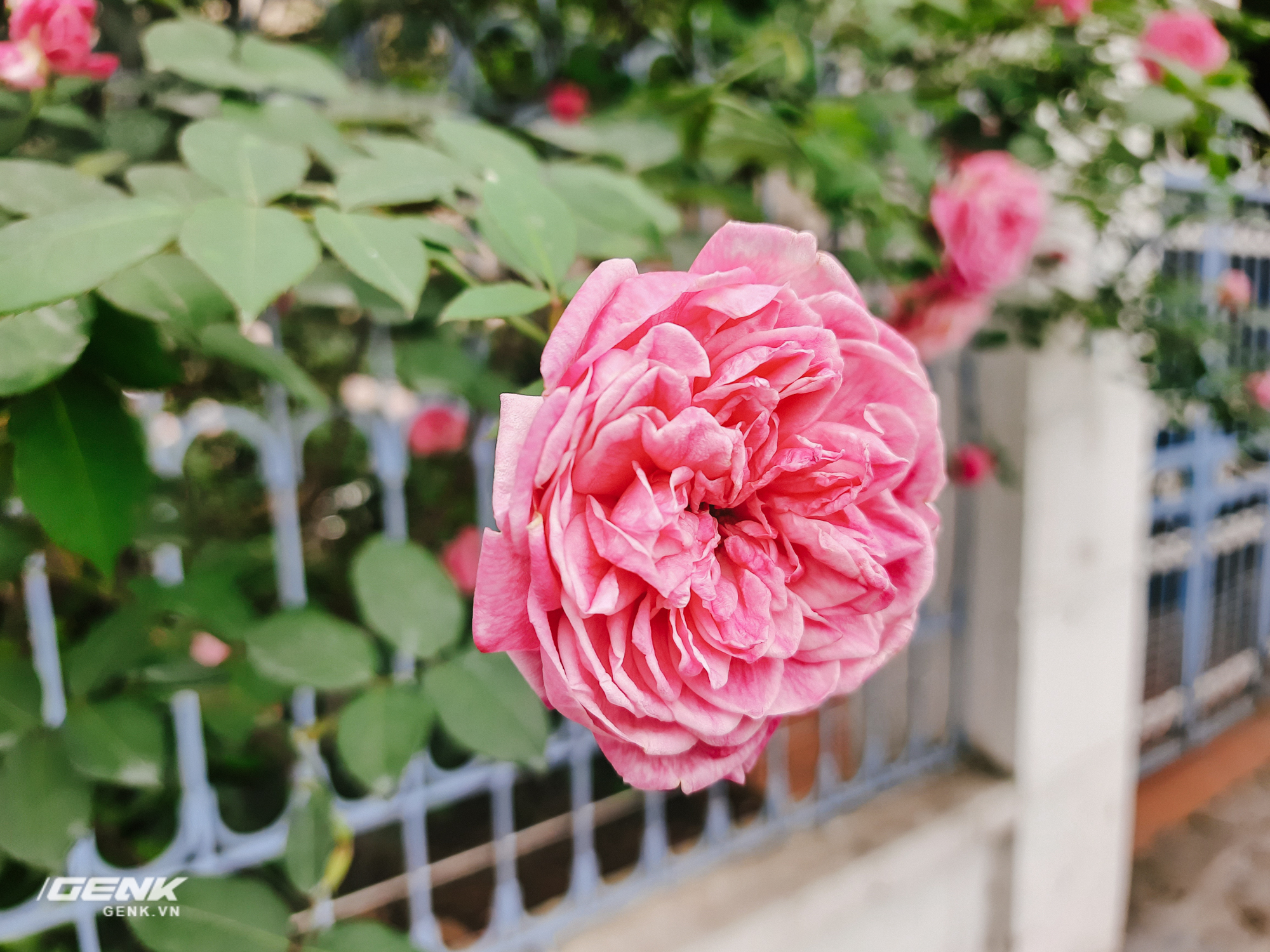 Đ&aacute;nh gi&aacute; Samsung Galaxy M31: Đập tiền v&agrave;o pin! - Ảnh 9.