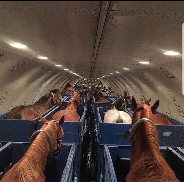 Những hình ảnh độc lạ nhất trên máy bay mà các hành khách từng chụp được: Dám cá là bạn chưa thấy quá nửa! - Ảnh 1.