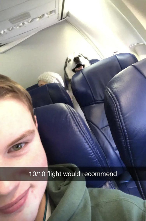 Những hình ảnh độc lạ nhất trên máy bay mà các hành khách từng chụp được: Dám cá là bạn chưa thấy quá nửa! - Ảnh 11.