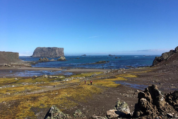 Nam Cực hiện là châu lục duy nhất chưa có người bị nhiễm COVID-19 (ảnh: getty)