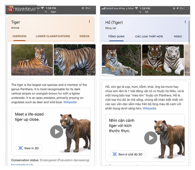 Netizens Are Crazy About Google Pet Virtual Games: Lying At Home Playing  With Tigers, Leopards And 