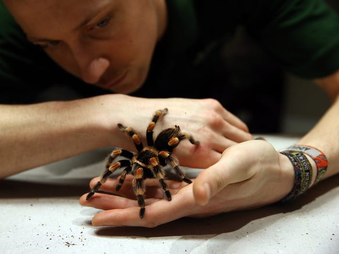 Vẻ đẹp của 24 lo&agrave;i động vật mới được đưa v&agrave;o s&aacute;ch đỏ, c&oacute; thể ch&uacute;ng ta sẽ kh&ocirc;ng c&ograve;n nh&igrave;n thấy ch&uacute;ng trong tương lai - Ảnh 17.