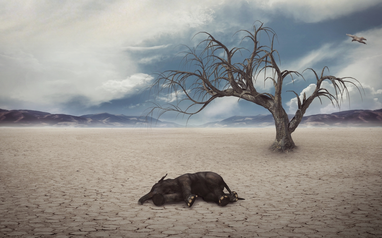 Vẻ đẹp của 24 lo&agrave;i động vật mới được đưa v&agrave;o s&aacute;ch đỏ, c&oacute; thể ch&uacute;ng ta sẽ kh&ocirc;ng c&ograve;n nh&igrave;n thấy ch&uacute;ng trong tương lai - Ảnh 1.