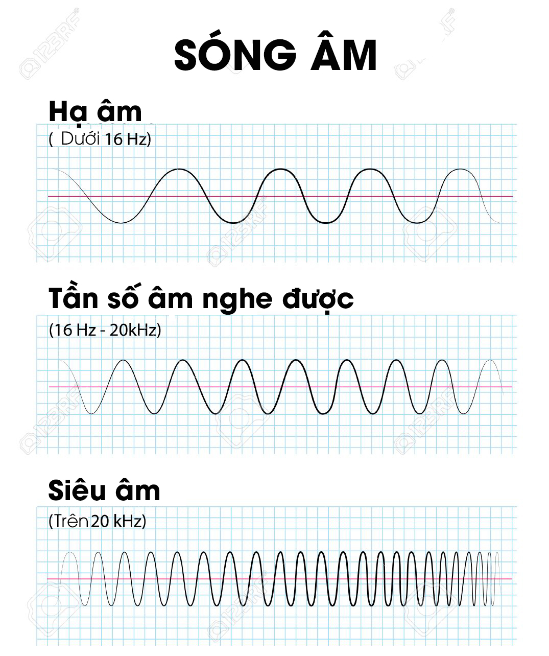 Siêu âm có tần số cao - Khám phá công nghệ tiên tiến