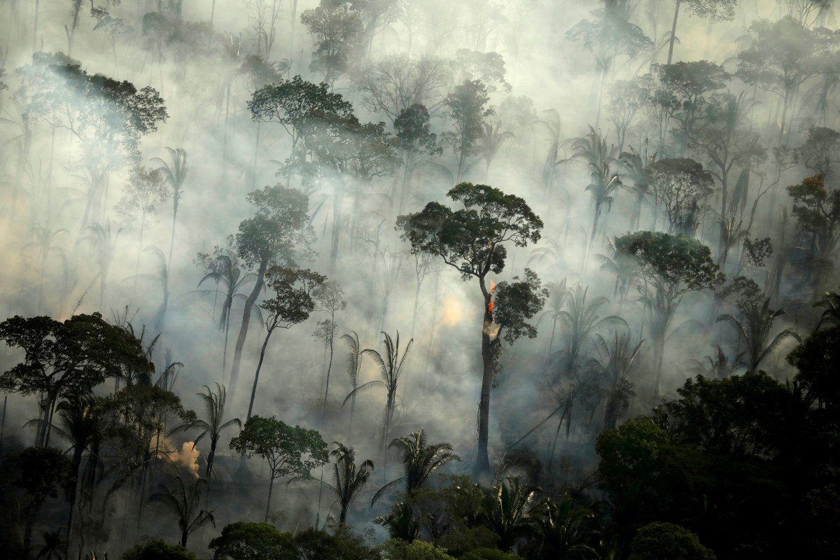 Rừng Amazon vẫn đang cháy ngày càng dữ dội hơn: 1.202 km2 rừng bị ...