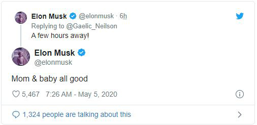  Elon Musk vừa làm cha lần thứ 6 - Ảnh 2.