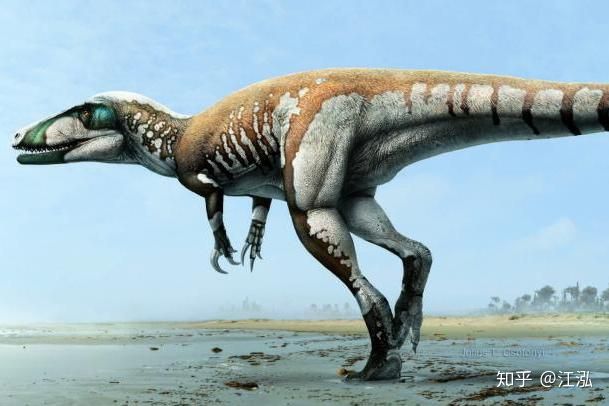 Australia phát hiện hóa thạch khủng long biến thành đá quý - Ảnh 15.