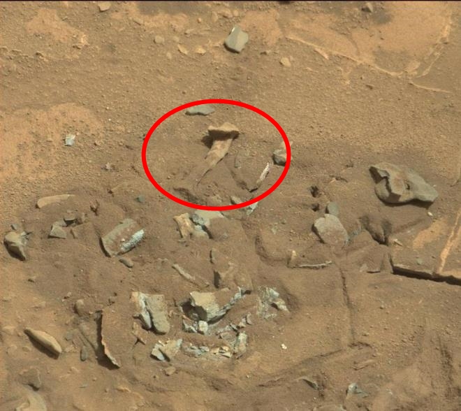 Sự thật về bức ảnh chụp xương người trên bề mặt Sao Hỏa của NASA - Ảnh 1.