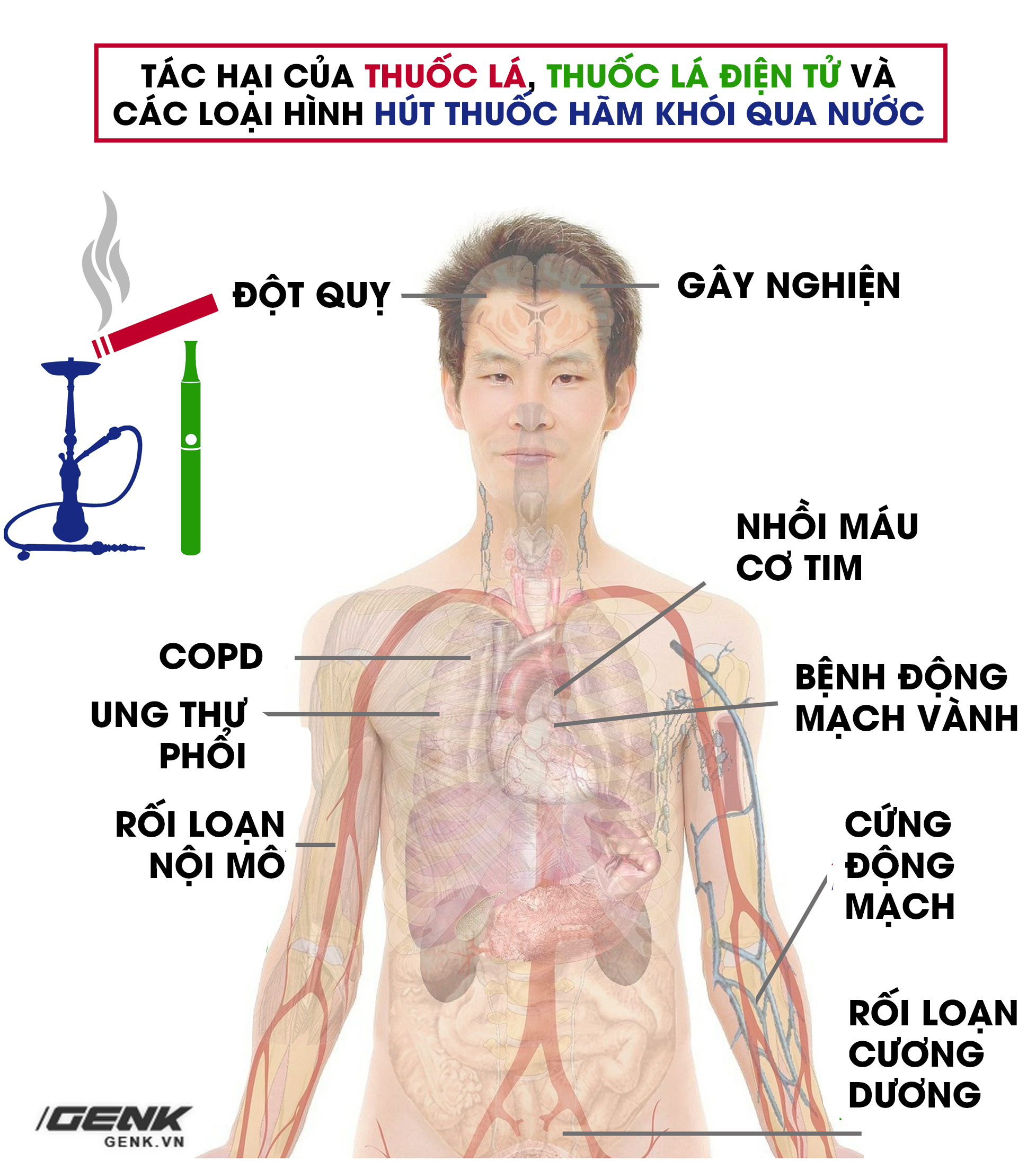 Bất kể hình thức: Hút thuốc lá điếu, thuốc lá điện tử hay shisha đều phá hủy mạch máu và gây ung thư phổi - Ảnh 1. Bất kể hình thức: Hút thuốc lá điếu, thuốc lá điện tử hay shisha đều phá hủy mạch máu và gây ung thư phổi - Ảnh 1.