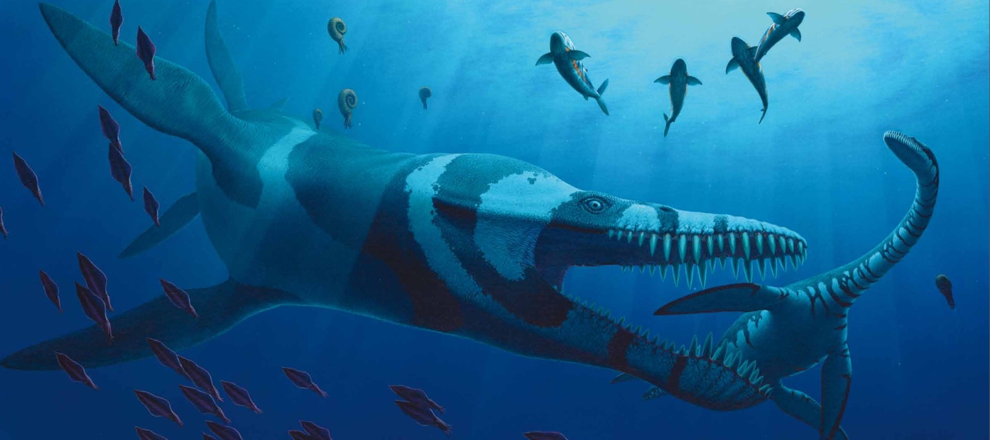 Predator X: Quái vật biển cả đáng sợ nhất kỷ Jura