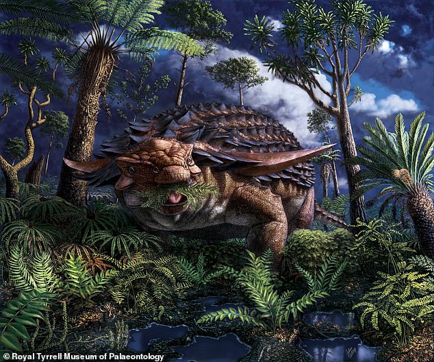 Phát hiện bữa ăn được bảo quản nguyên vẹn trong dạ dày khủng long bọc giáp sống cách đây 110 triệu năm - Ảnh 1.