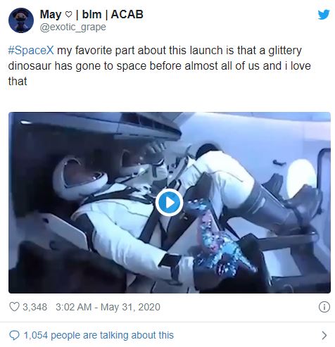 Dân mạng phát cuồng với thành viên đặc biệt trong chuyến bay vào vũ trụ của SpaceX: 1 con khủng long nhồi bông - Ảnh 4.