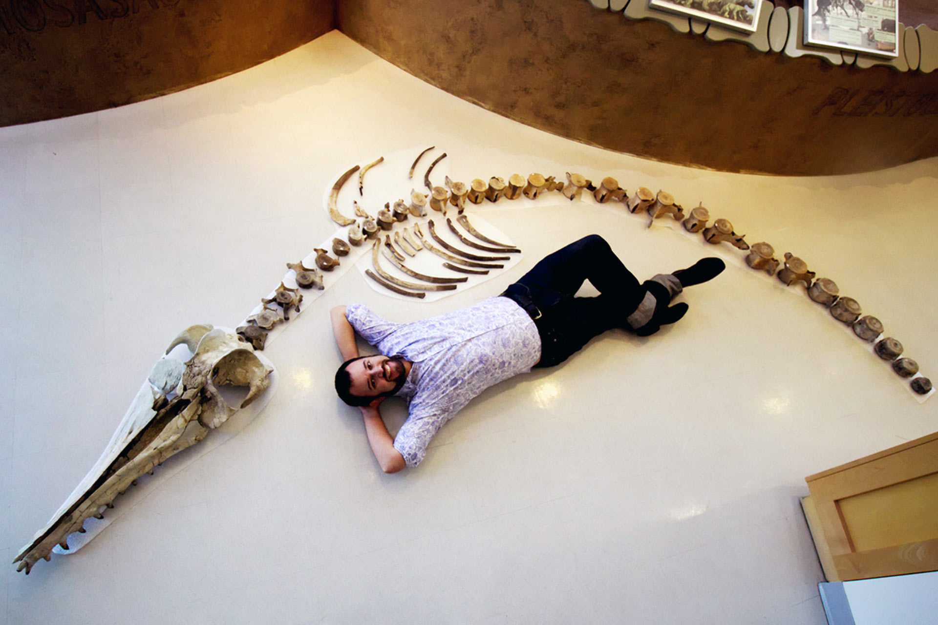 Lo&agrave;i c&aacute; heo ăn thịt si&ecirc;u lớn n&agrave;y từng l&agrave; nỗi kinh ho&agrave;ng một thời của c&aacute;c đại dương tr&ecirc;n Tr&aacute;i đất - Ảnh 1.