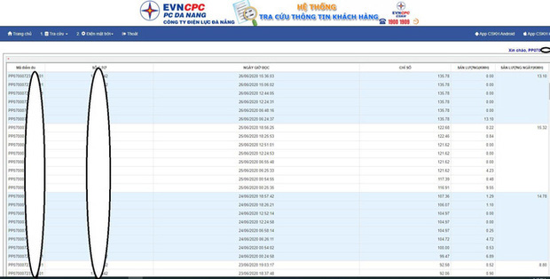 Điện lực Đà Nẵng phát triển hệ thống tra cứu chỉ số điện theo ngày, khách hàng có thể tự theo dõi, kiểm tra tiền điện của mình - Ảnh 2.