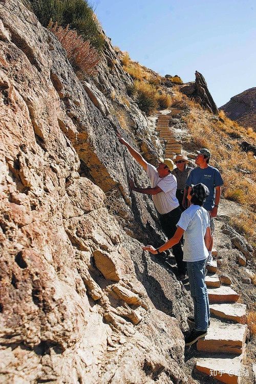 Các nhà cổ sinh vật học đang khám phá hóa thạch.