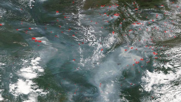 Ảnh vệ tinh cho thấy cháy rừng ở Siberia đang cháy.