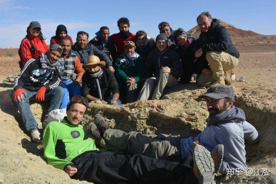 Nhóm khai quật hóa thạch cá sấu Machimosaurus rex.