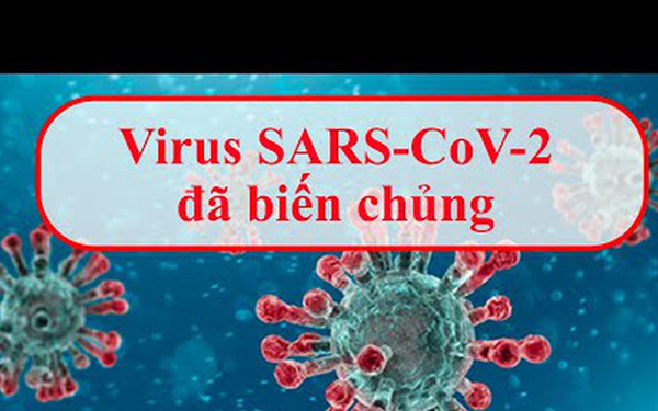  Biến chủng của virus Sars-Cov-2 ở Đà Nẵng có bất thường không? - Ảnh 1.