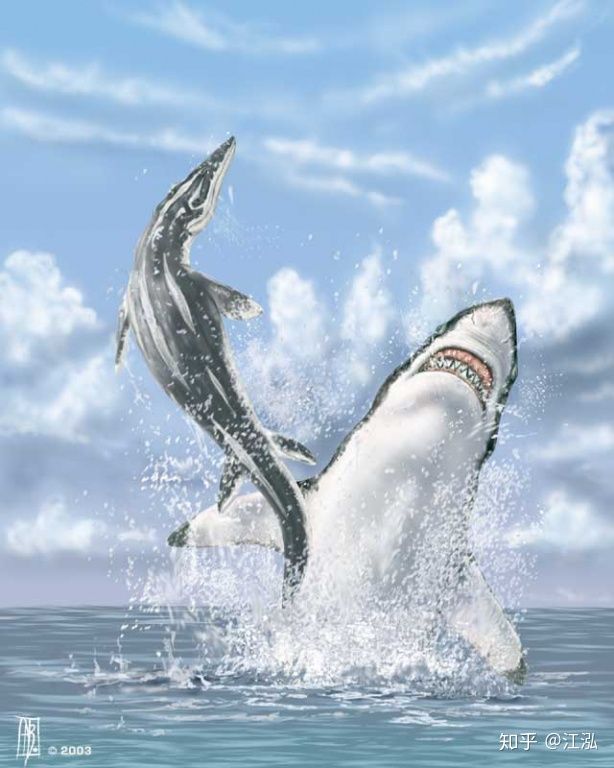 Cretoxyrhina: loại cá mập thời chi phí sử còn kinh hãi hơn hết Megalodon - Hình ảnh 9.