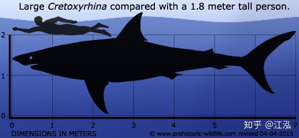 Cretoxyrhina: loại cá mập thời chi phí sử còn kinh hãi hơn hết Megalodon - Hình ảnh 3.