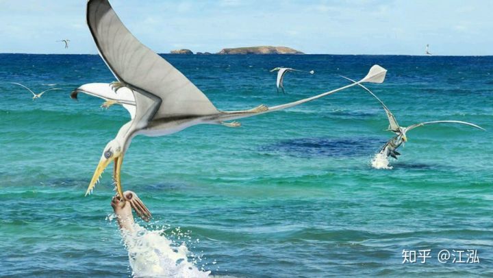 Rhamphorhynchus: Lo&agrave;i thằn lằn bay t&iacute; hon sở hữu h&agrave;m răng của tử thần - Ảnh 14.