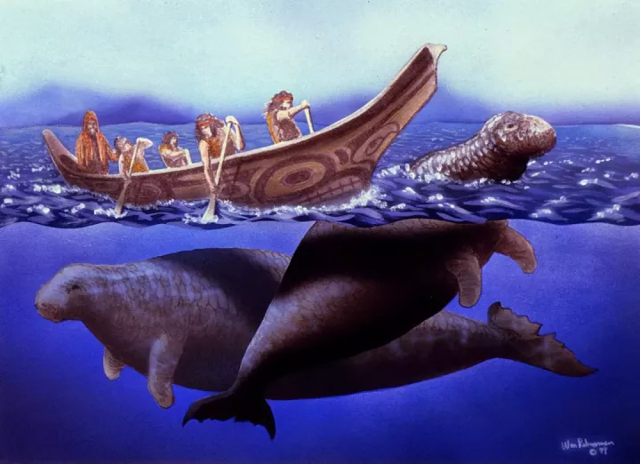 Chỉ mất 27 năm từ khi phát hiện ra đến khi tuyệt chủng, chuyện gì đã xảy ra với con vật khổng lồ dưới biển này? - Ảnh 14.
