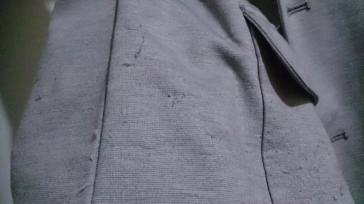 Khám phá sự thật về con mọt sách, chúng không chỉ ăn sách mà còn ăn tất cả các chất hữu cơ trong nhà bạn - Ảnh 3. Khám phá sự thật về con mọt sách, chúng không chỉ ăn sách mà còn ăn tất cả các chất hữu cơ trong nhà bạn - Ảnh 3.