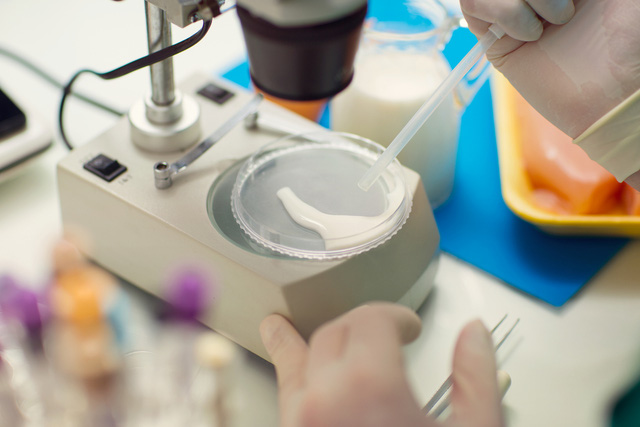  Các nhà khoa học sắp tìm ra cách chế biến sữa mẹ trong phòng thí nghiệm để thay thế sữa công thức - Ảnh 2.