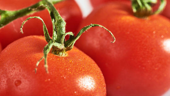 Cà chua là trái cây hay rau? Câu hỏi tưởng đơn giản nhưng hành trình tìm đáp án lại phức tạp đến không ngờ - Ảnh 2.