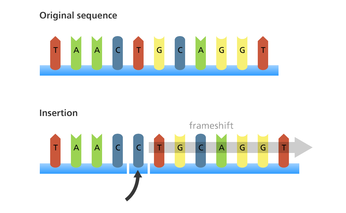 Giải thích con đường biến chủng của virus SARS-CoV-2 bằng kiến thức sinh học lớp 9 - Ảnh 5. Giải thích con đường biến chủng của virus SARS-CoV-2 bằng kiến thức sinh học lớp 9 - Ảnh 5.