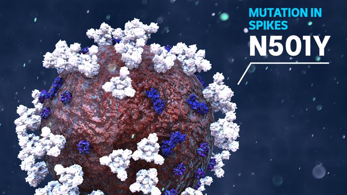 Giải thích con đường biến chủng của virus SARS-CoV-2 bằng kiến thức sinh học lớp 9 - Ảnh 1. Giải thích con đường biến chủng của virus SARS-CoV-2 bằng kiến thức sinh học lớp 9 - Ảnh 1.