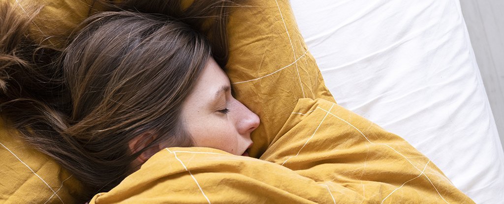Cái nào có trước: Giấc ngủ hay Bộ não? Các nhà khoa học cho rằng họ đã tìm ra câu trả lời - Ảnh 3. Cái nào có trước: Giấc ngủ hay Bộ não? Các nhà khoa học cho rằng họ đã tìm ra câu trả lời - Ảnh 3.