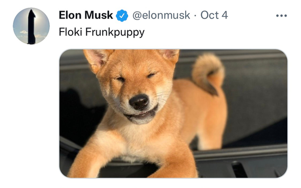 Như chưa hề tăng, Elon Musk vừa tweet ‘tôi không sở hữu đồng Shiba Inu nào’, ngay lập tức giá ‘coin chó’ giảm [HOT]