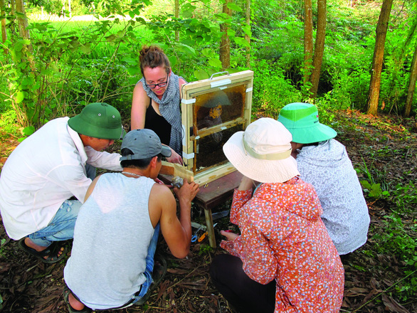 American honey bees fell when they were invaded by Asian wasps, their scientists went to Ba Vi just to see how Vietnamese honey bees defended their nests - Photo 6.