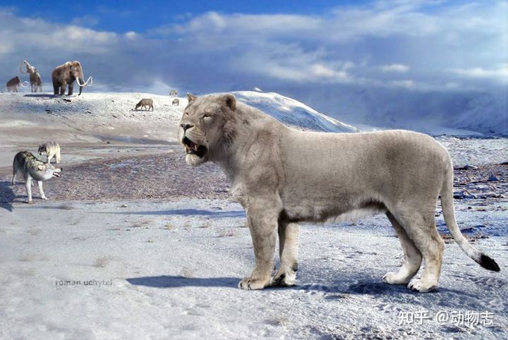 The war between dogs and cats dates back 17 million years: The feline family invaded North America, leading to the extinction of the canine family! - Picture 12. The war between dogs and cats dates back 17 million years: The feline family invaded North America, leading to the extinction of the canine family! - Picture 12.