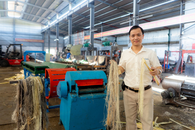 Bach Khoa engineer returned to his hometown to 'tear' the banana body into garment fibers, press the residue into a disposable container, replacing the 500-year-old plastic that decomposes - Photo 3.