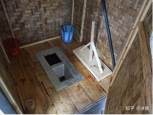 The mystery of the case of hiding the body in the Fukushima toilet: No one could analyze and find the truth, the police were forced to close the case - Photo 3.