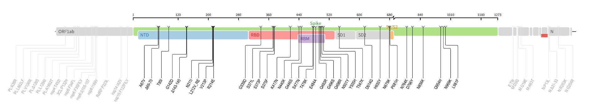 WHO is holding an emergency meeting because of the new COVID-19 variant in South Africa: Here's everything we know about B.1.1.529 so far - Photo 2.