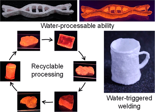 Synthesized from salmon sperm and vegetable oil, the new plastic is much easier to recycle and decompose than normal plastic - Photo 2.