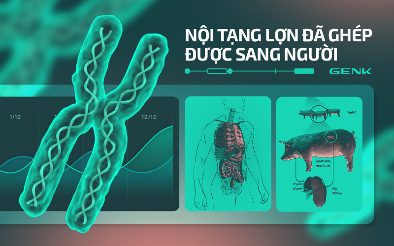 phapluat.suckhoedoisong.vn