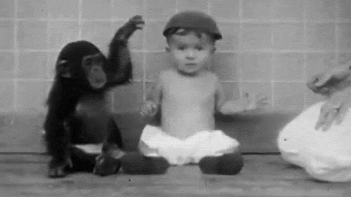 Nhà khoa học này đã nuôi một con tinh tinh lớn lên cùng con trai mình, kết quả của thí nghiệm đó thật khủng khiếp - Ảnh 1.