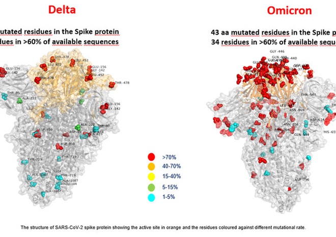 Hình ảnh so sánh biến thể Delta và Omicron