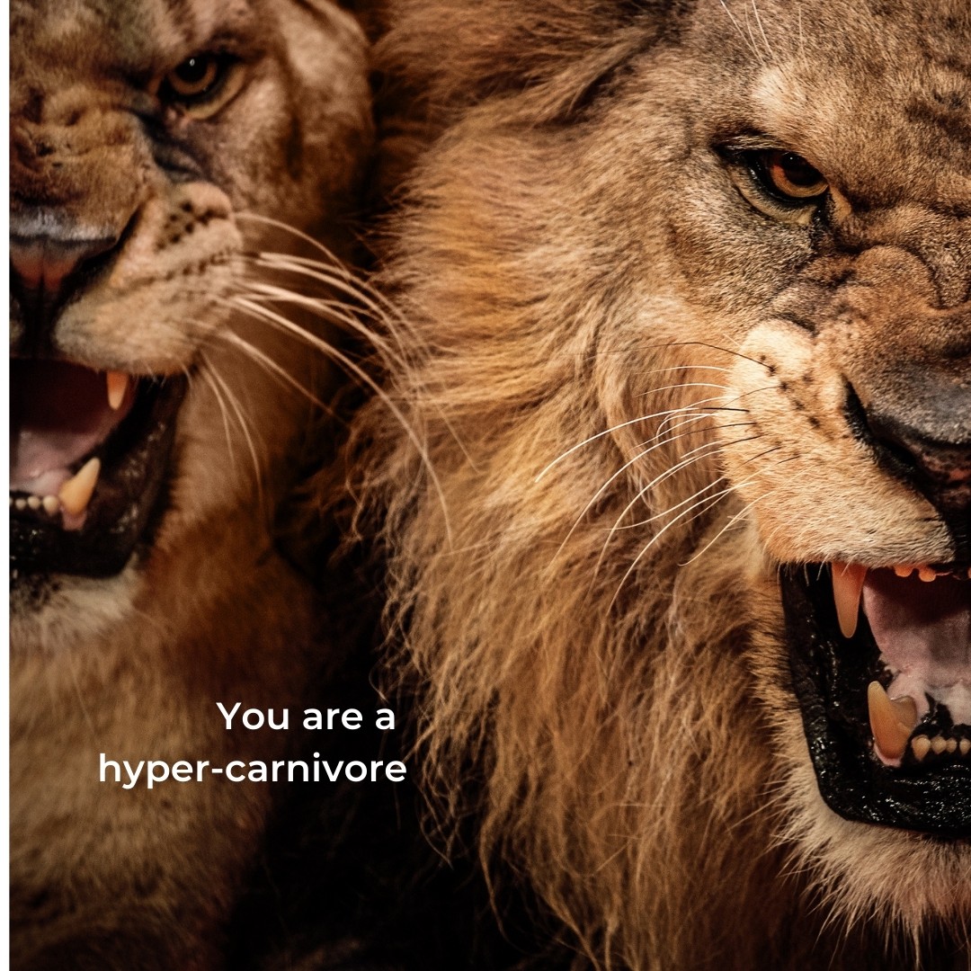 "Vị thế" của con người trong chuỗi thức ăn chỉ tương tự như lo&agrave;i lợn nh&agrave;! - Ảnh 2.