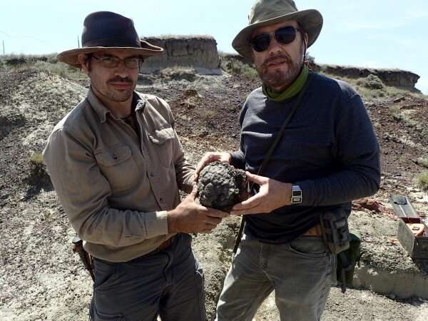 Ironically, the extinct Chicxulub meteorite fell to Earth in the spring - Photo 3.