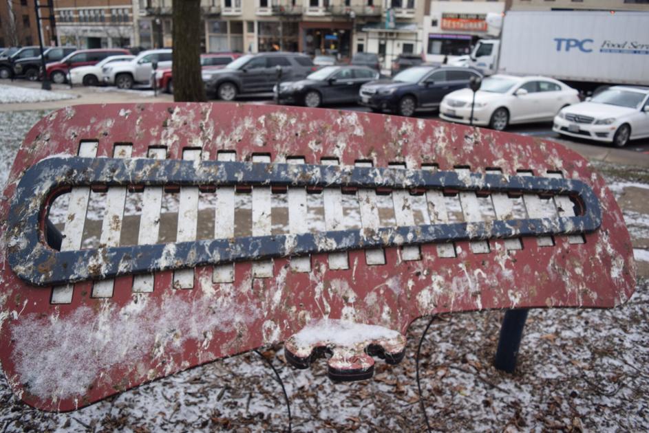 When 30,000 crows invaded the American city, their droppings fell like rain - Photo 3.