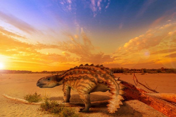 Lần đầu tiên người ta phát hiện ra loài khủng long có vũ khí chém người - Ảnh 9.