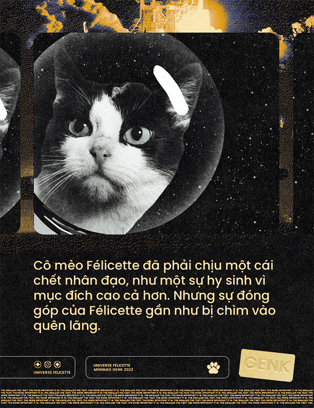 Mèo cũng đã từng vào không gian, và tên &quot;cô bé&quot; là Félicette - Ảnh 8.